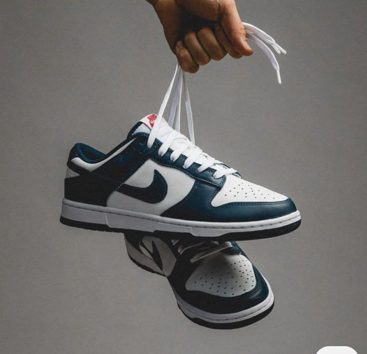 Nike Dunk Low