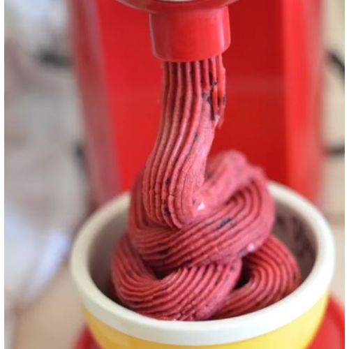 Machine à glaces et smoothies aux fruits faits maison
