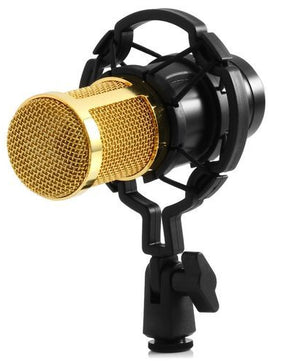 Microphone à condensateur pour studio d'enregistrement audio - Doré