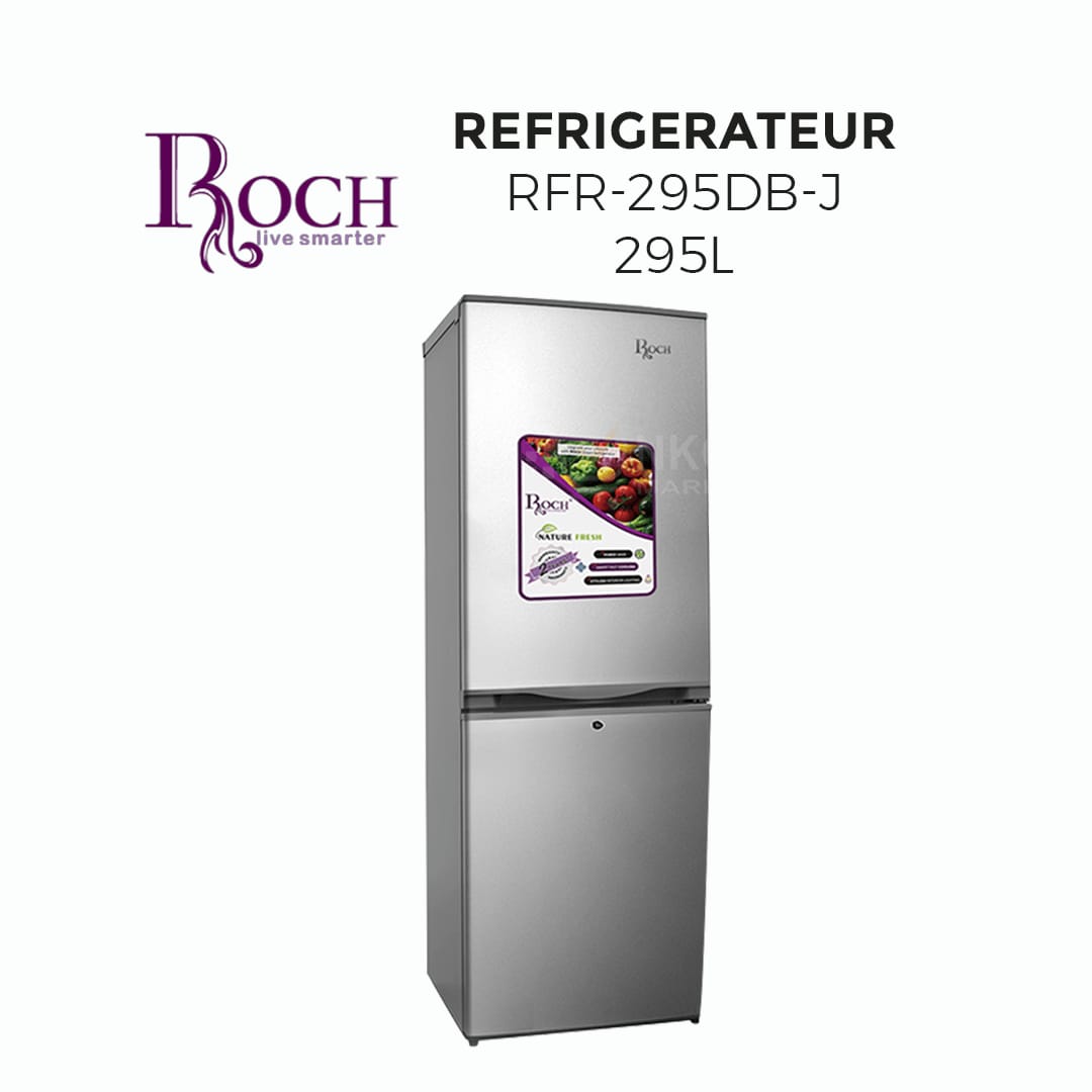 Réfrigérateur RFR-295DB-j 295L