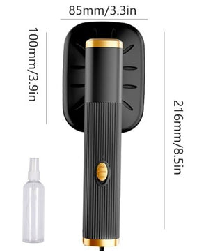 Fer à vapeur électrique portable professionnel