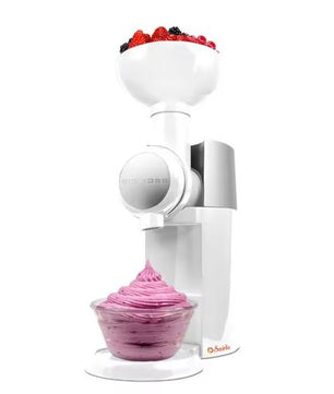 Machine à glaces et smoothies aux fruits faits maison