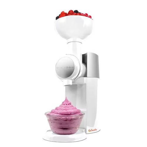 Machine à glaces et smoothies aux fruits faits maison