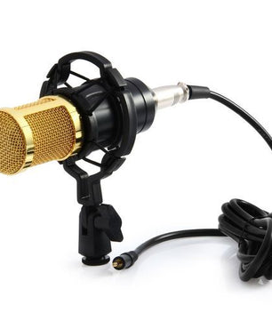 Microphone à condensateur pour studio d'enregistrement audio - Doré